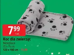 E.Leclerc Koc dla zwierząt 120 x 100 cm Niceplace oferta