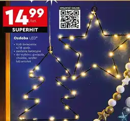 Biedronka Aniołek led oferta