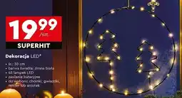 Biedronka Choinki led 30 cm oferta