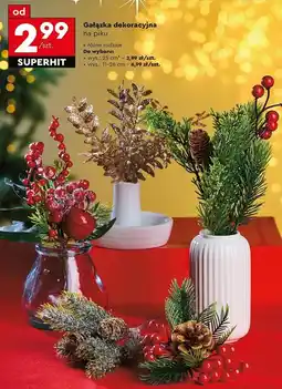 Biedronka Gałązka na piku 11-26 cm oferta