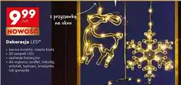 Biedronka Gwiazda 20 led oferta