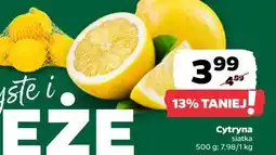 Netto Cytryna, siatka oferta