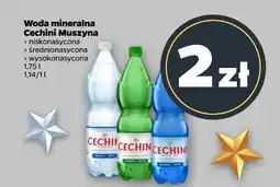 Netto Woda mineralna Ciechini Muszyna oferta