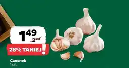 Netto Czosnek, 1 szt oferta