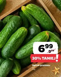 Netto Ogórek gruntowy oferta