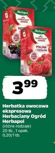 Netto Herbata owocowa ekspresowa Herbaciany Ogród Herbapol oferta
