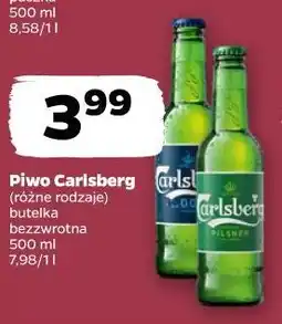 Netto Piwo Carlsberg oferta