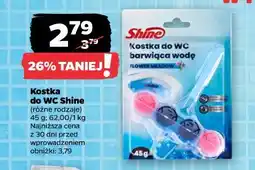 Netto Kostka do WC Shine oferta