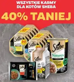 Netto Wszystkie karmy dla kotów Sheba oferta