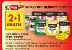Biedronka Herbata czarna owoce leśne Remsey oferta