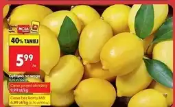 Biedronka Cytryny oferta