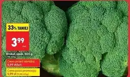 Biedronka Brokuł oferta