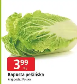 E.Leclerc Kapusta pekińska polska oferta