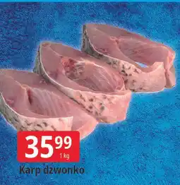 E.Leclerc Karp dzwonka oferta