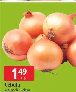 E.Leclerc Cebula żółta polska oferta