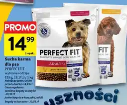 Intermarche Karma dla psa junior oferta