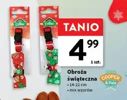 Intermarche Obroża świąteczna 14-21 cm Cooper&Pals oferta