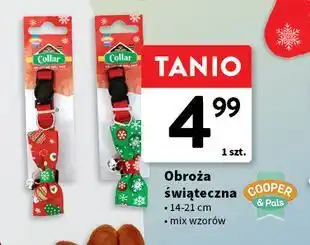 Intermarche Obroża świąteczna 14-21 cm Cooper&Pals oferta