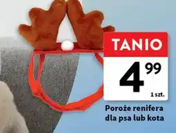 Intermarche Poroże renifera dla kota oferta