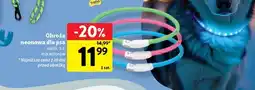 Intermarche Obroża neonowa dla psa s-l oferta