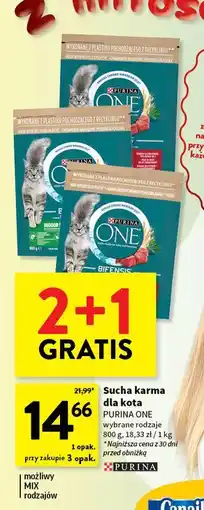 Intermarche Karma dla kota sterilcat wołowina i pszenica Purina One oferta