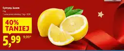 Lidl Cytryny luzem Lidl oferta