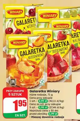 Dino Galaretka różne rodzaje Winiary oferta