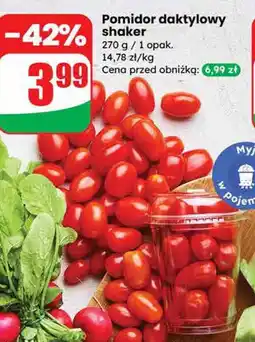 Dino Pomidor daktylowy shaker Dino oferta