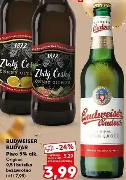 Kaufland Piwo Budweiser oferta
