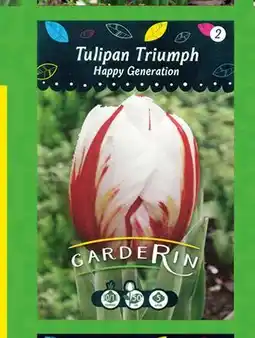 Polomarket Tulipan Triumph Happy Generation oferta
