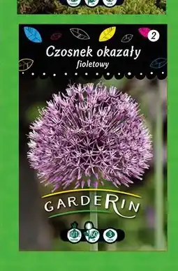 Polomarket Czosnek okazały fioletowy oferta