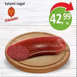 Passa Salami rogal sokołów oferta