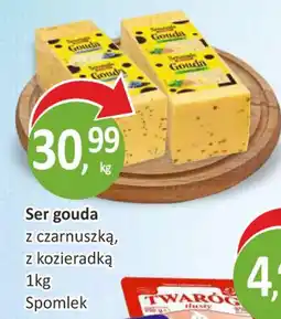 Passa Ser gouda Spomlek oferta