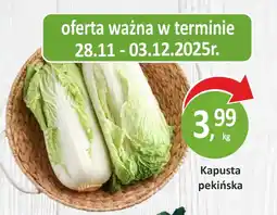 Passa Kapusta pekińska oferta