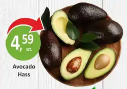 Passa Avocado Hass oferta