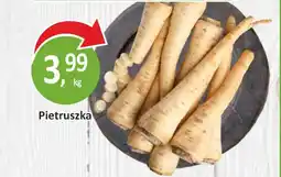 Passa Pietruszka oferta