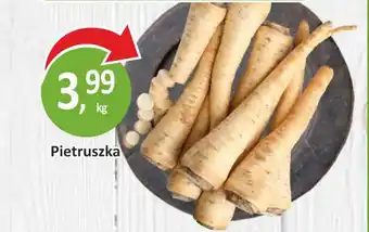 Passa Pietruszka oferta