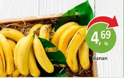 Passa Banan oferta