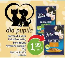 Passa Karma dla kota Felix Fantastic, Sensations Nestle Polska oferta