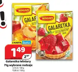 Delfin Galaretka Winiary oferta