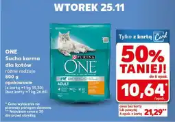 Kaufland ONE Sucha karma dla kotów oferta