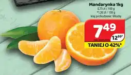 Delfin Mandarynka oferta