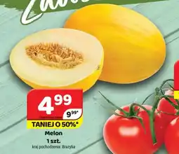 Delfin Melon oferta