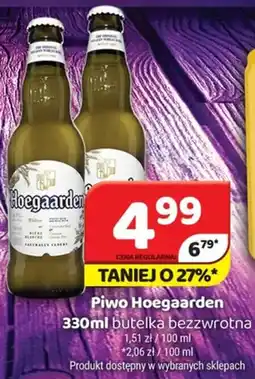 Delfin Piwo Hoegaarden oferta