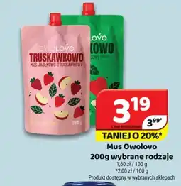 Delfin Mus Owolovo oferta