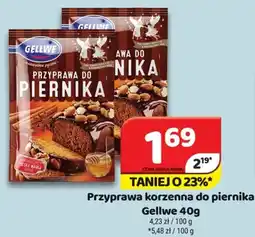 Delfin Przyprawa korzenna do piernika Gellwe oferta
