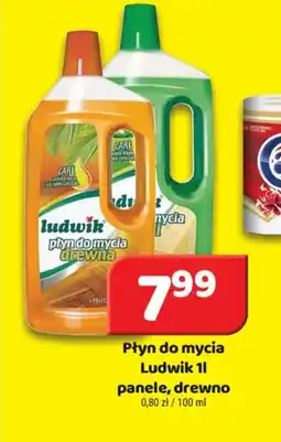 Delfin Płyn do mycia Ludwik panele, drewno oferta