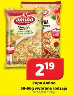 Delfin Zupa Amino oferta
