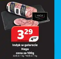 Delfin Indyk w galarecie Haga oferta