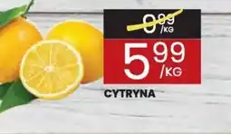 Wafelek Cytryna oferta